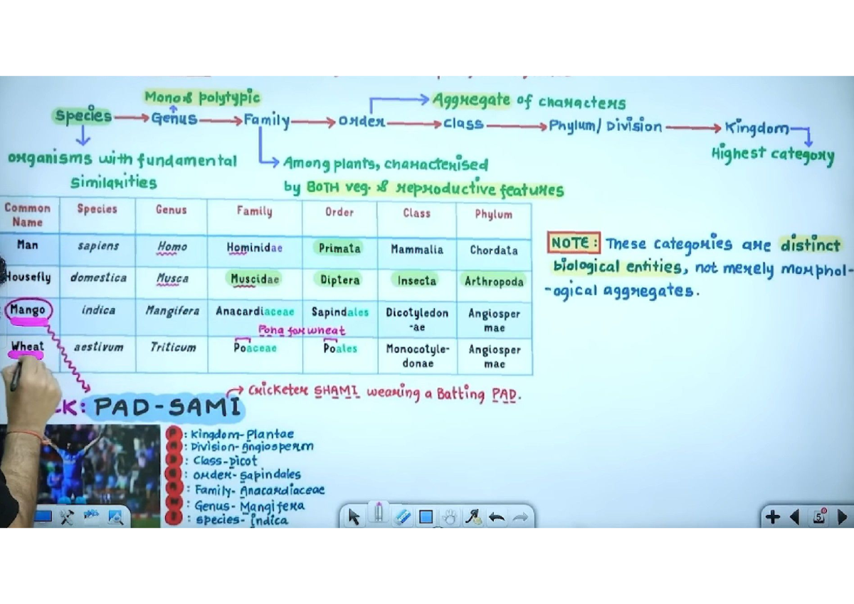 PDFReader 20250227 0023 - Monor polytypic Aggregate of characters ...