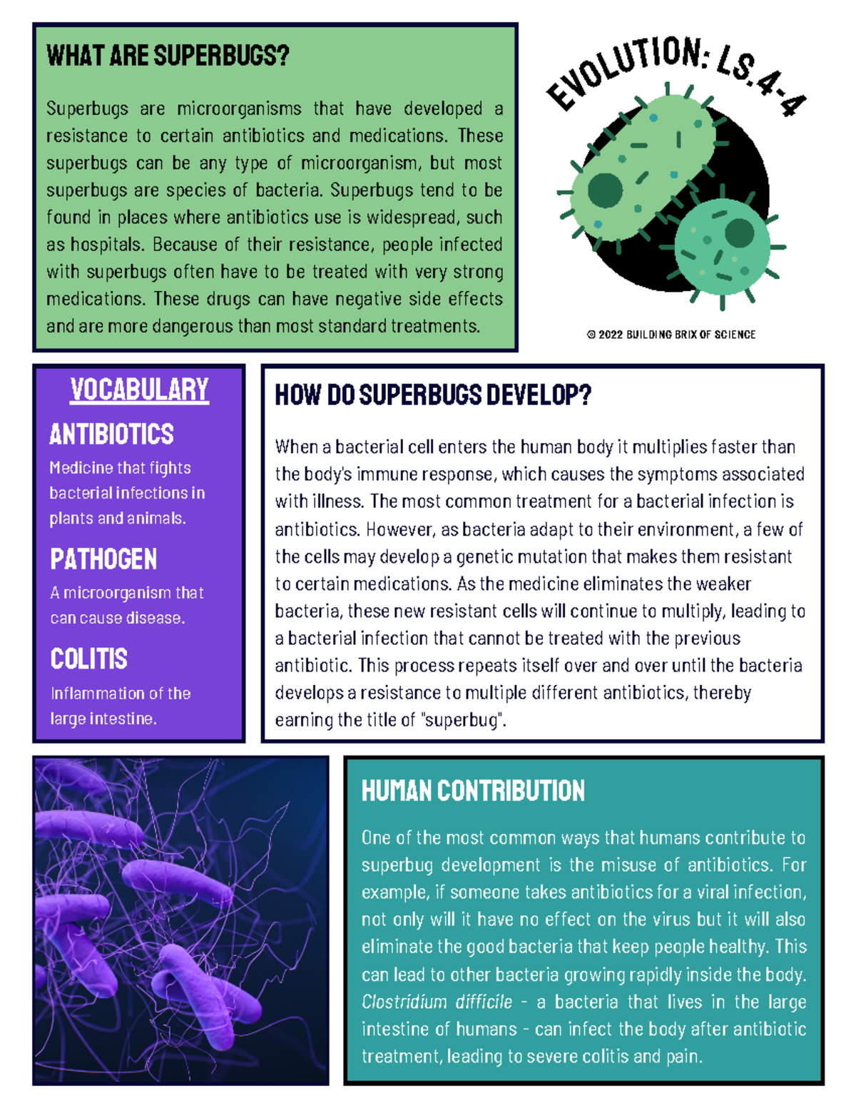 Antibiotic Resistance Guided Reading Activity PDF - Superbugs Explained - Studocu