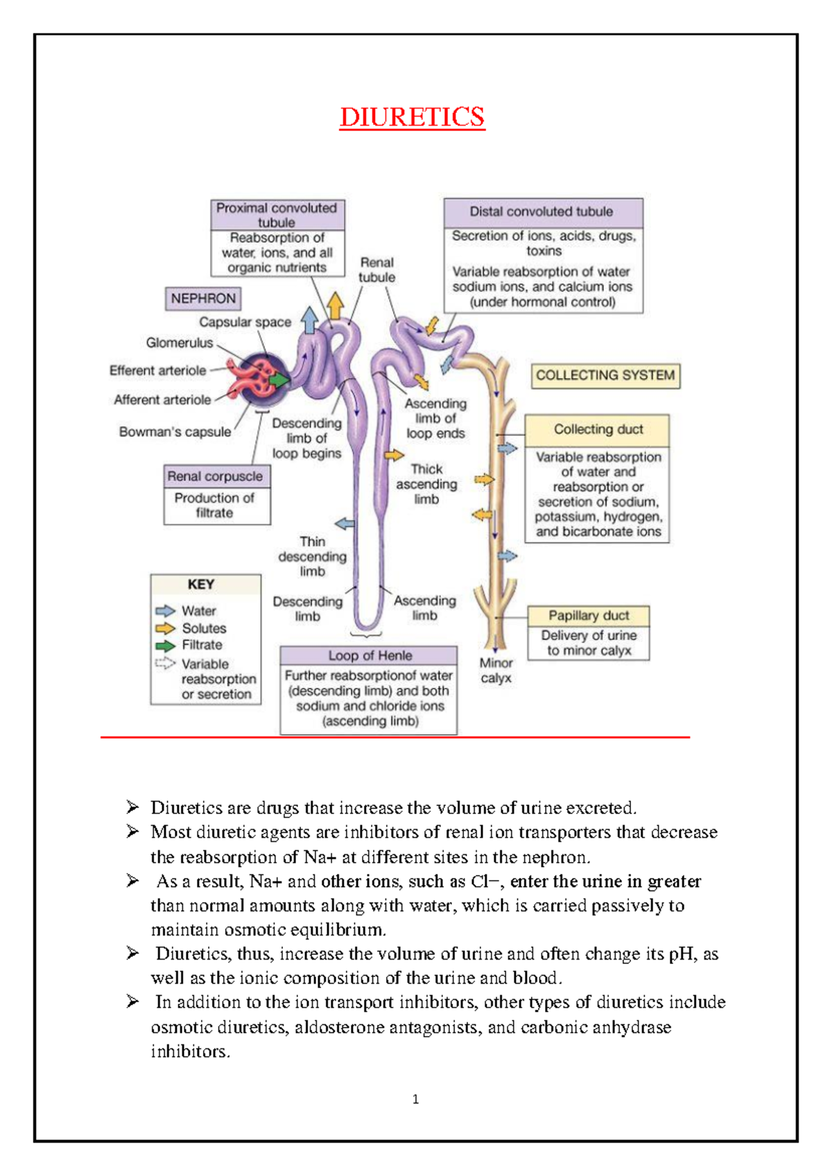 Pharmacology of Diuretics (17195) - Comprehensive Overview and ...