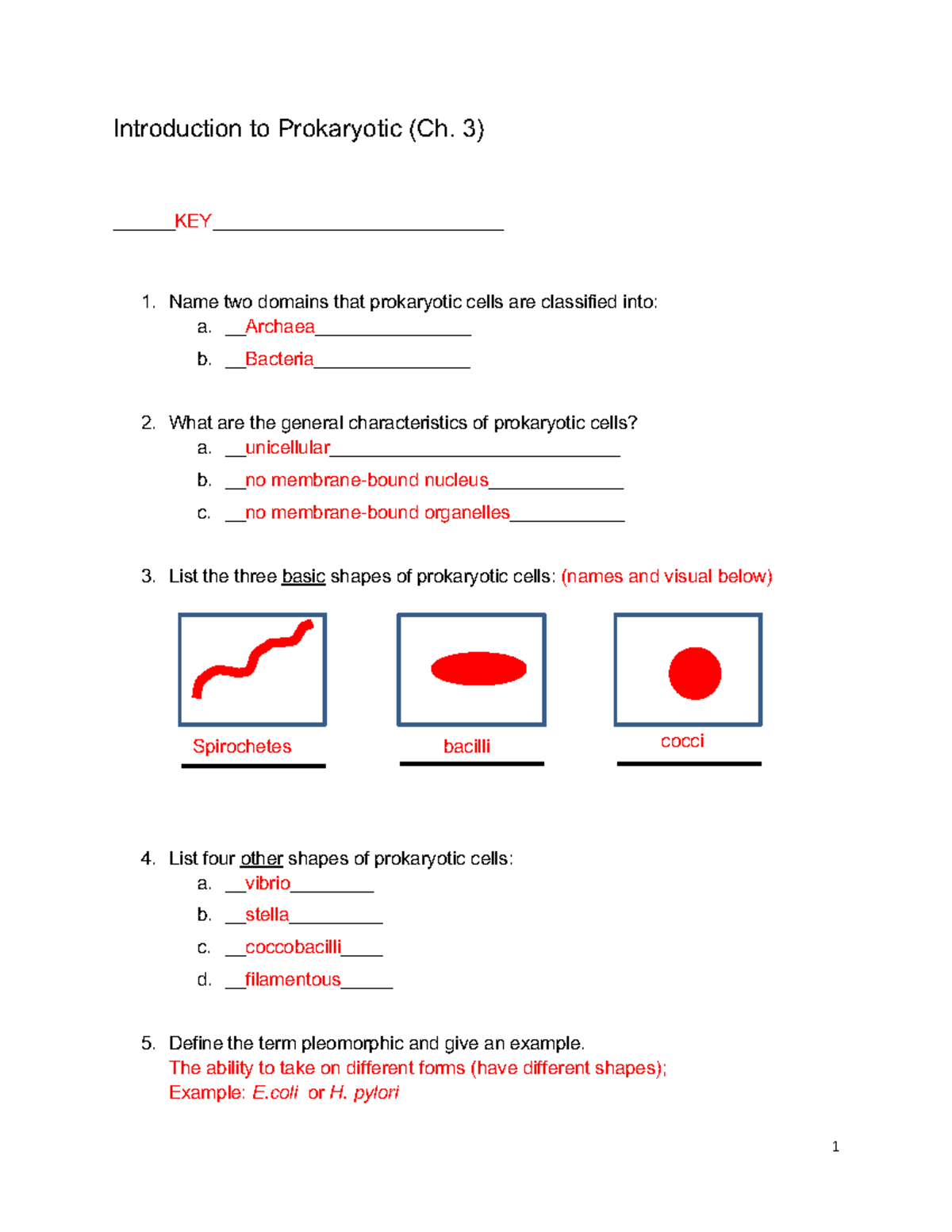 Introduction to Prokaryotic and Eukaryotic Cells (Ch. 3-4) Study Guide ...