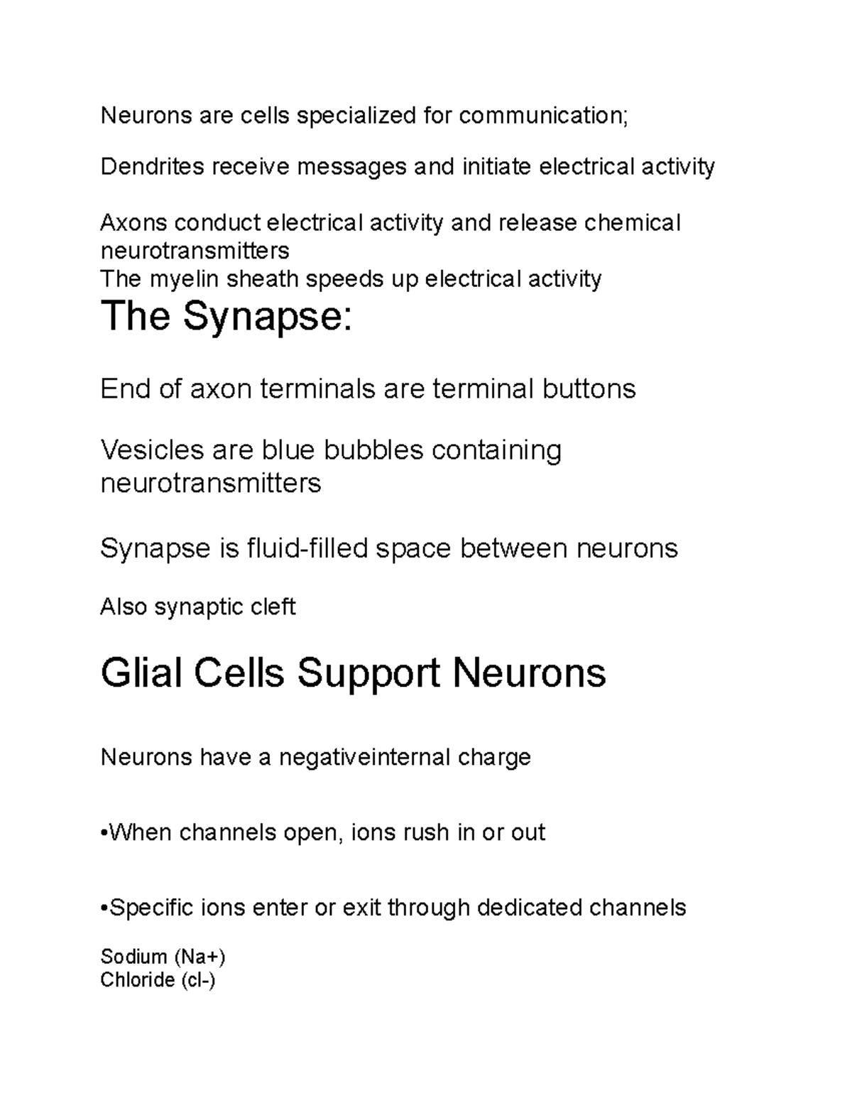 Neurons and Synaptic Activity: ANP1106 Overview of Functions and ...