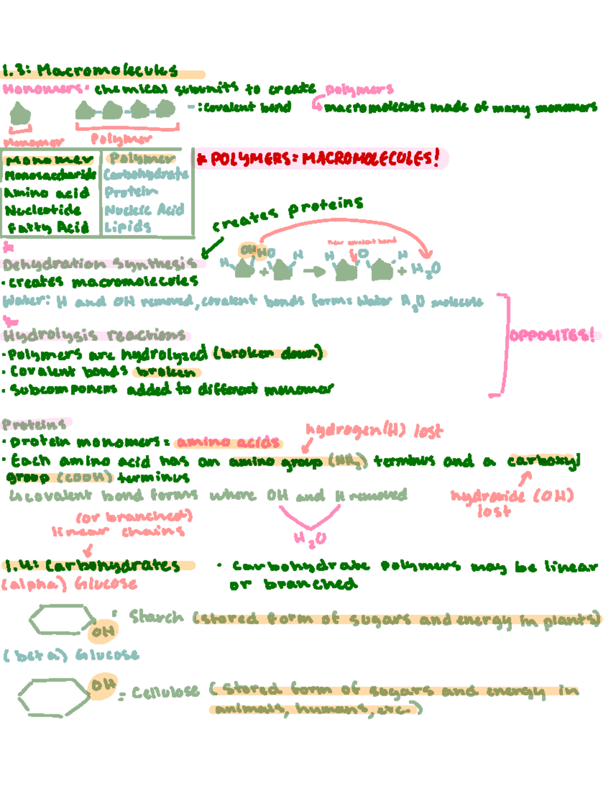 1 3: Macromolecules - Structure and Types of Polymers - Studocu