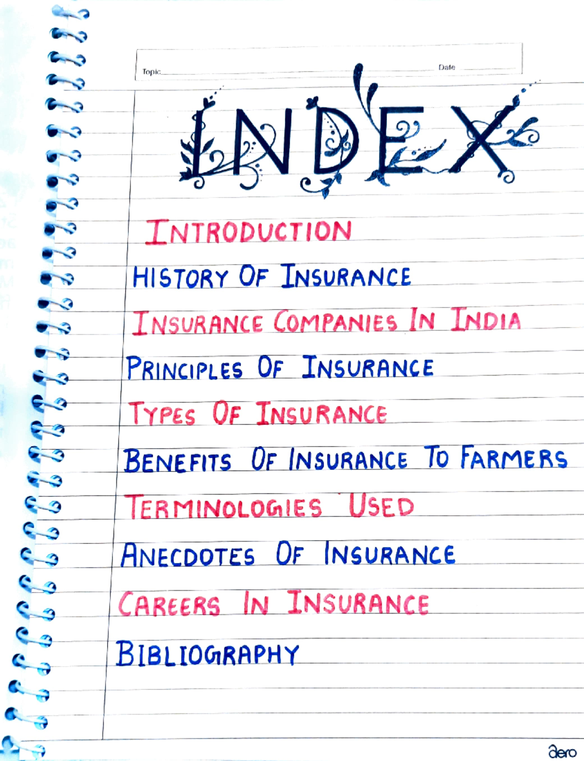 Business Studies Project: Understanding Insurance Concepts in Class 11 ...