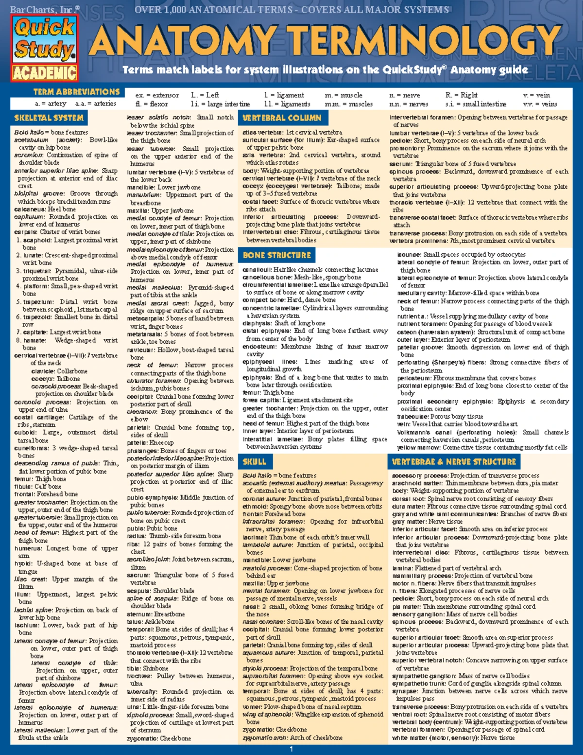 Autonomic Nervous System Overview (BIO 101 - Chapter 15 Study Notes ...