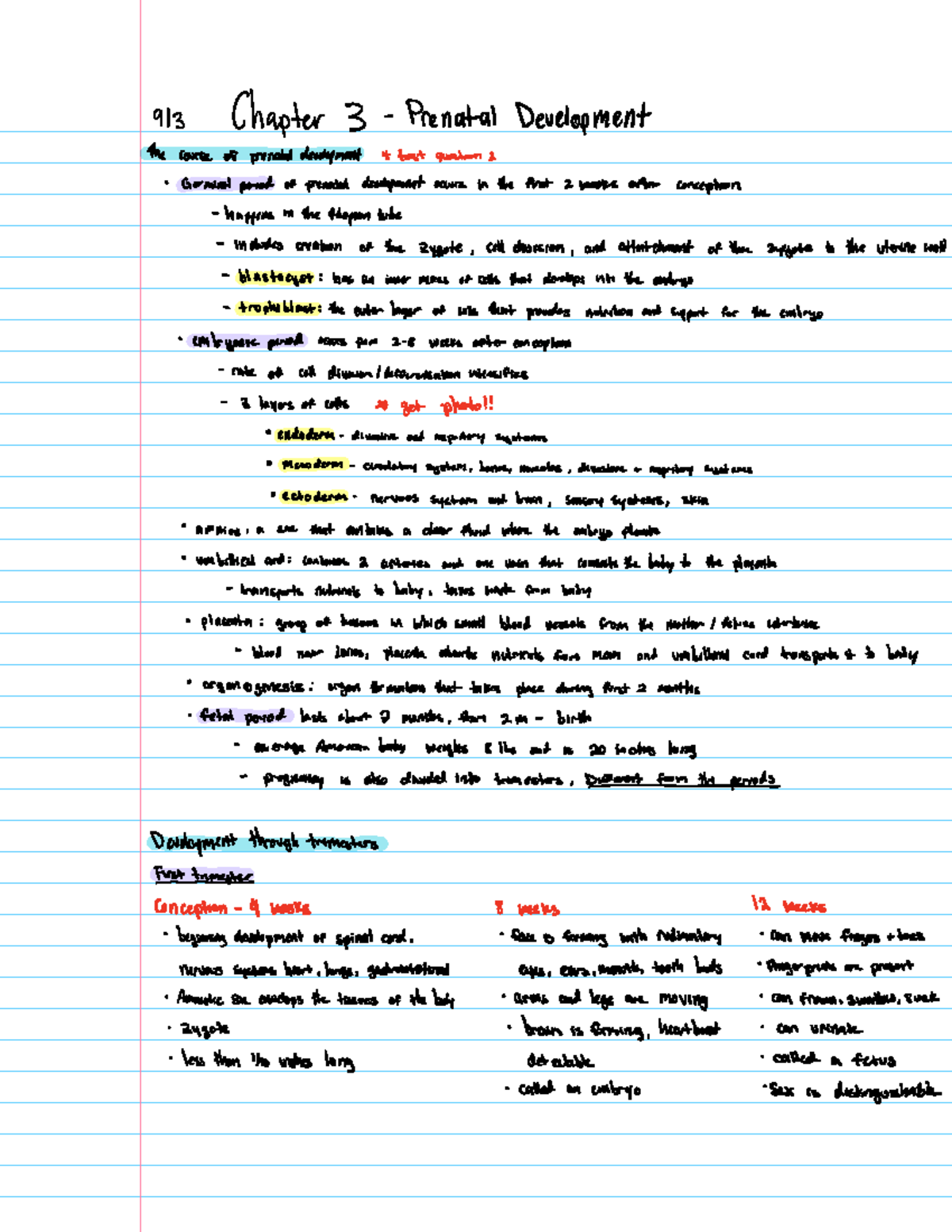 Chapter 3: Prenatal Development Overview and Key Concepts - Studocu