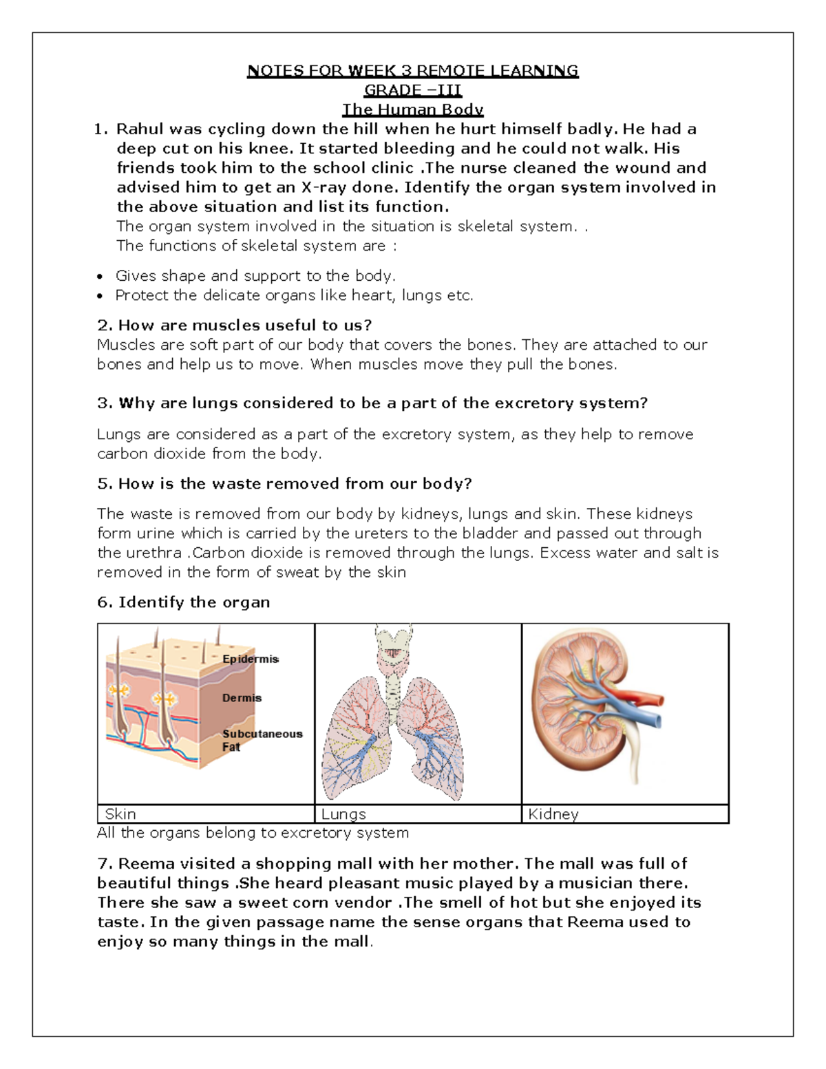 3 Notes WEEK 4 &5 - QnA - NOTES FOR WEEK 3 REMOTE LEARNING GRADE – III ...