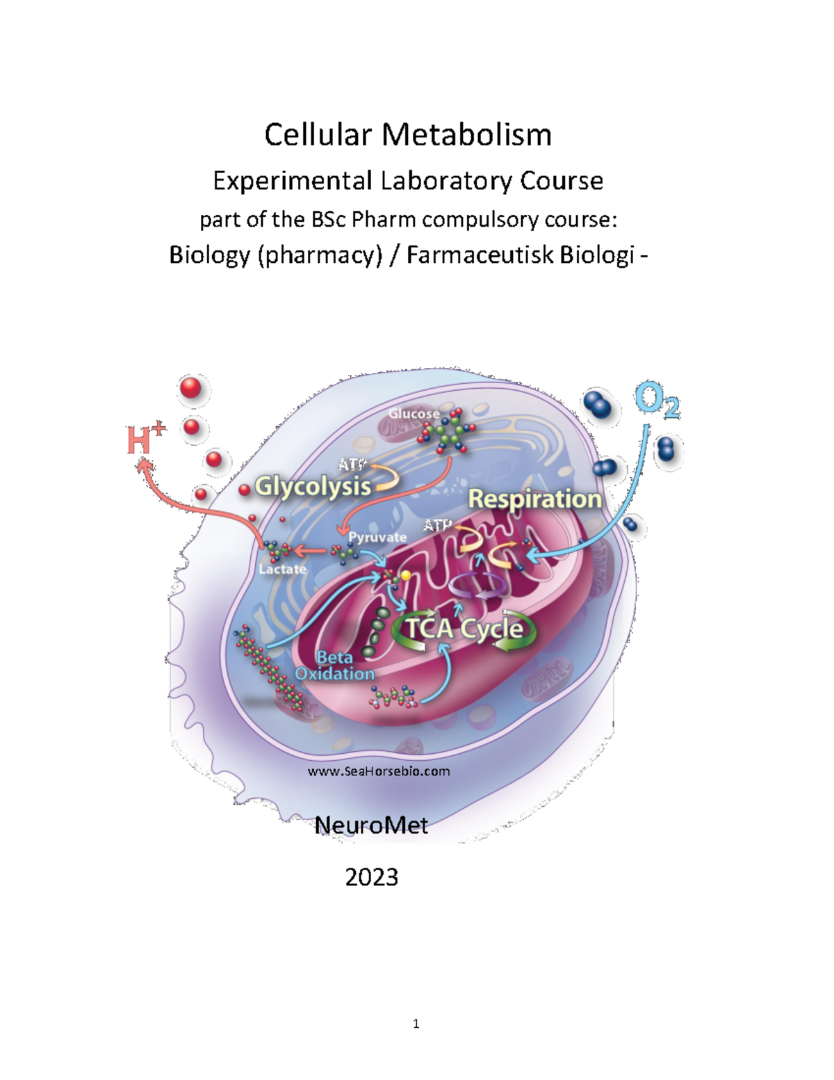 2023 BSc Pharm Lab Exercises: Cellular Metabolism in Biochemistry - Studocu
