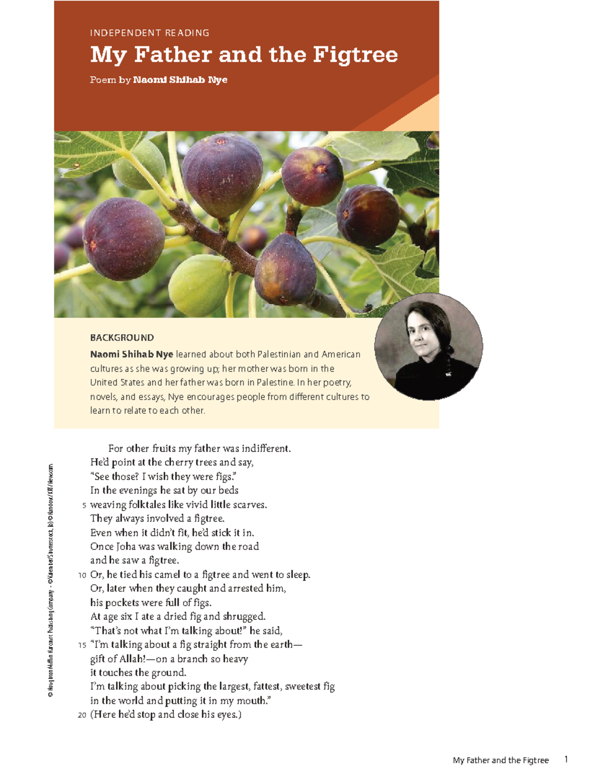 Independent Reading: My Father and the Figtree Poem Analysis - Studocu