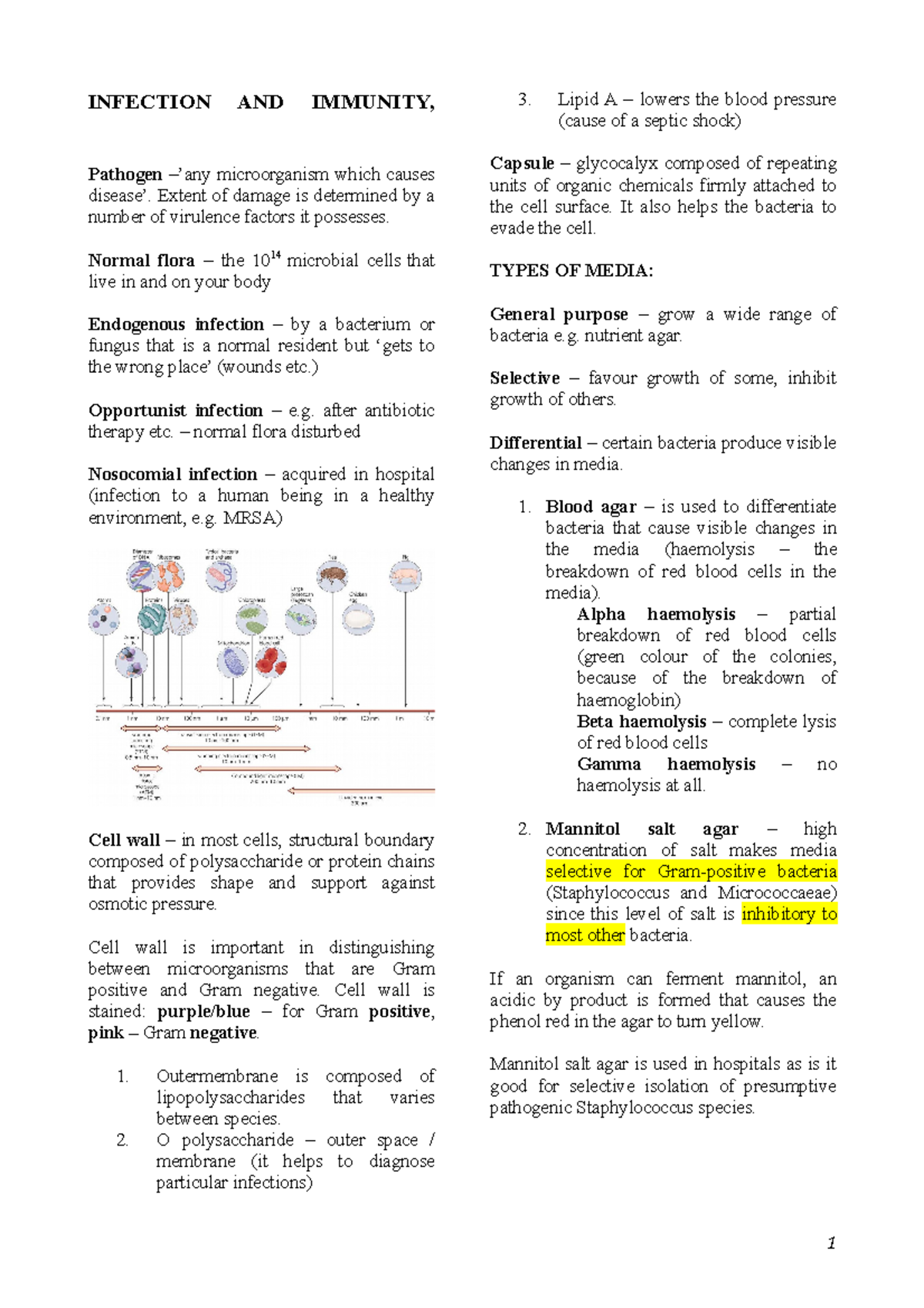 Infection and Immunity Overview: Key Concepts and Media Types - Studocu