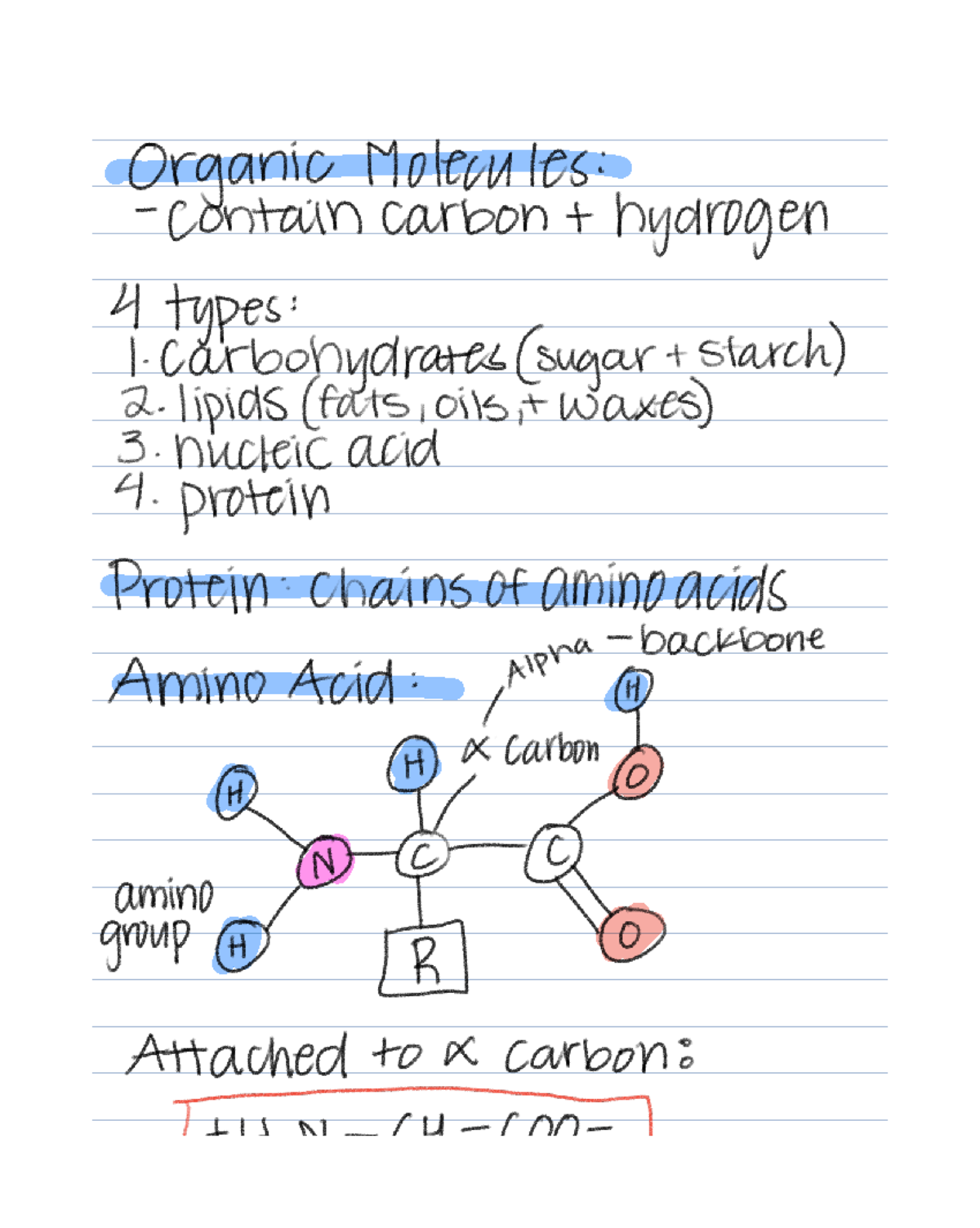 Biology 101: Structure and Function of Organic Molecules and Proteins ...