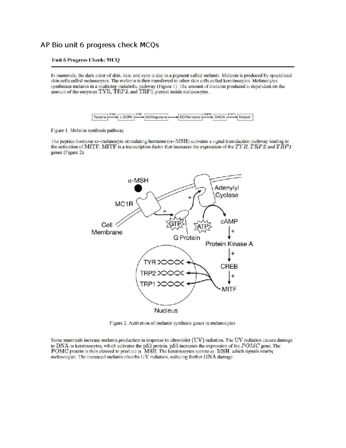 AP Bio Unit 6 Progress Check: MCQs on Gene Expression and Mutations ...