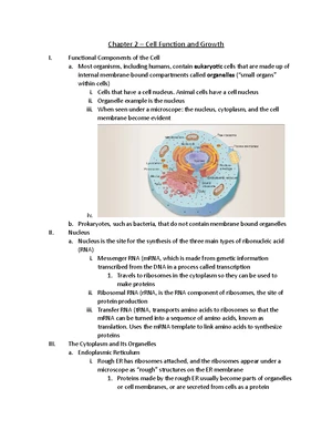 Membrane Transport - Study Notes & Assignments - Studocu