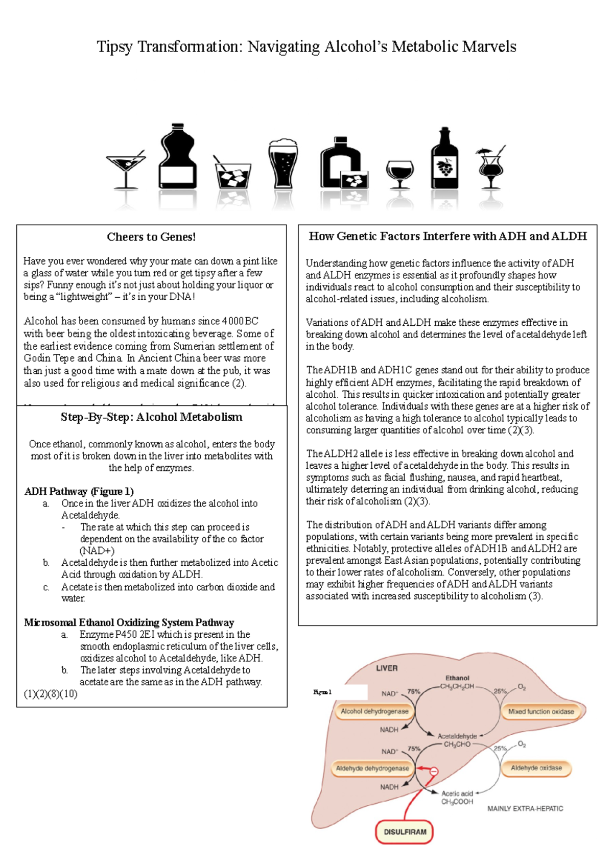Pharmacology Blog - Blog Style Article - Topic Provided To You - Tipsy ...