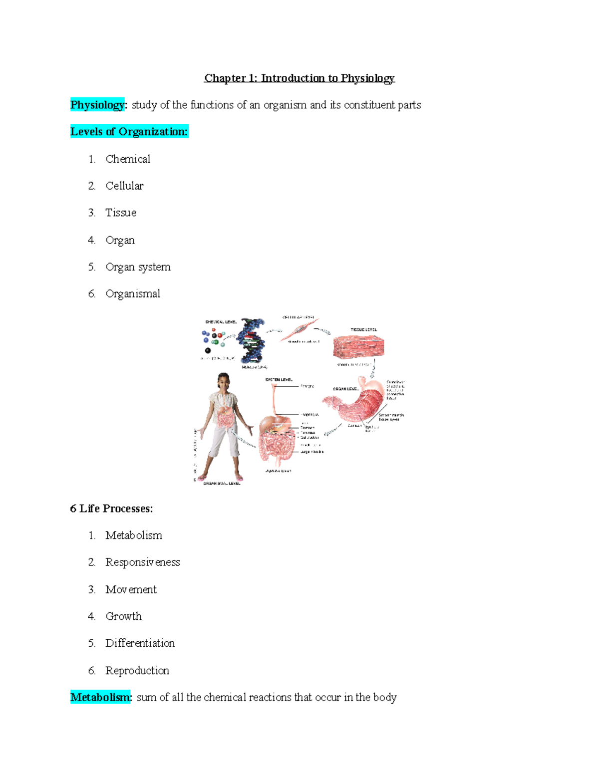 Chapter 1 - Intro to Physiology Lecture Notes (PHYS101) - Studocu
