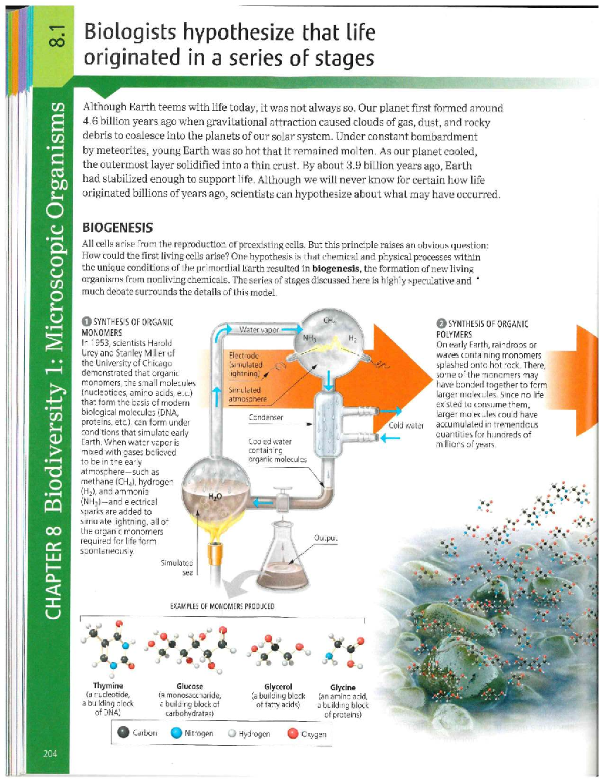Chapter 8: Prokaryotes and Protists - Origins and Diversity - Studocu
