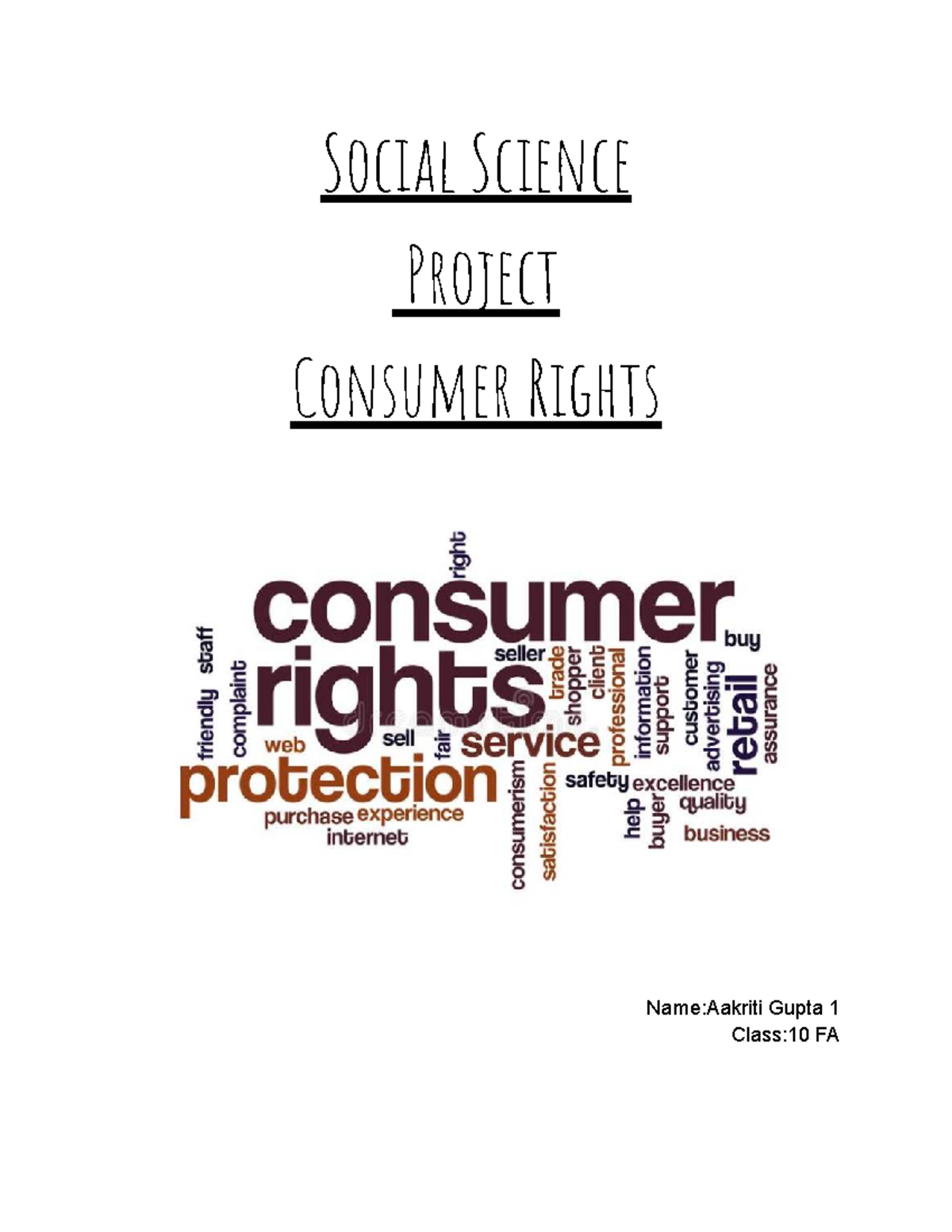 Social Science Project: Understanding Consumer Rights (Class 10 FA ...