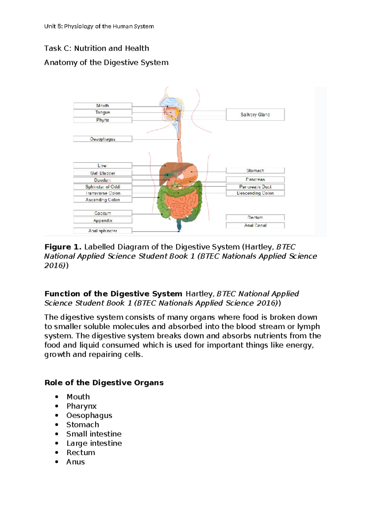 Nutrition and Health Analysis: Digestive System Overview - BTEC - Studocu