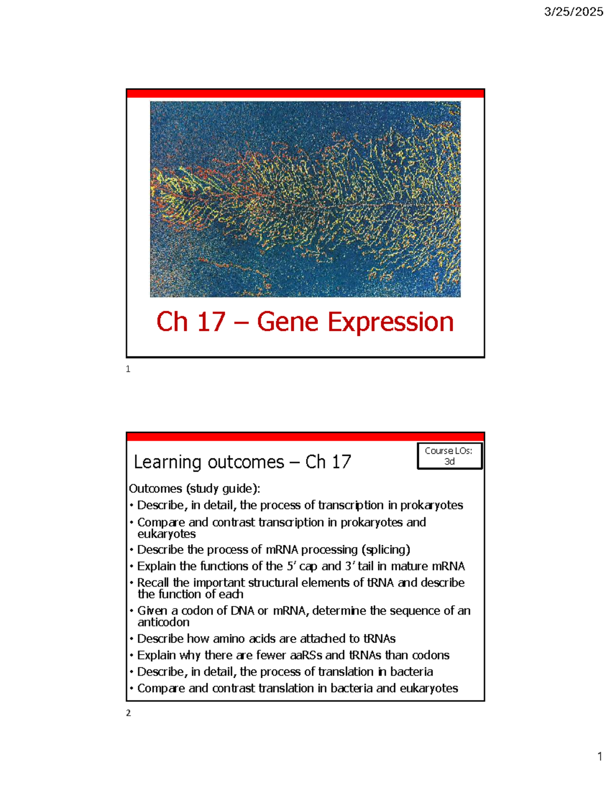 Ch 17 – Gene Expression: Transcription, RNA Processing, and Translation ...