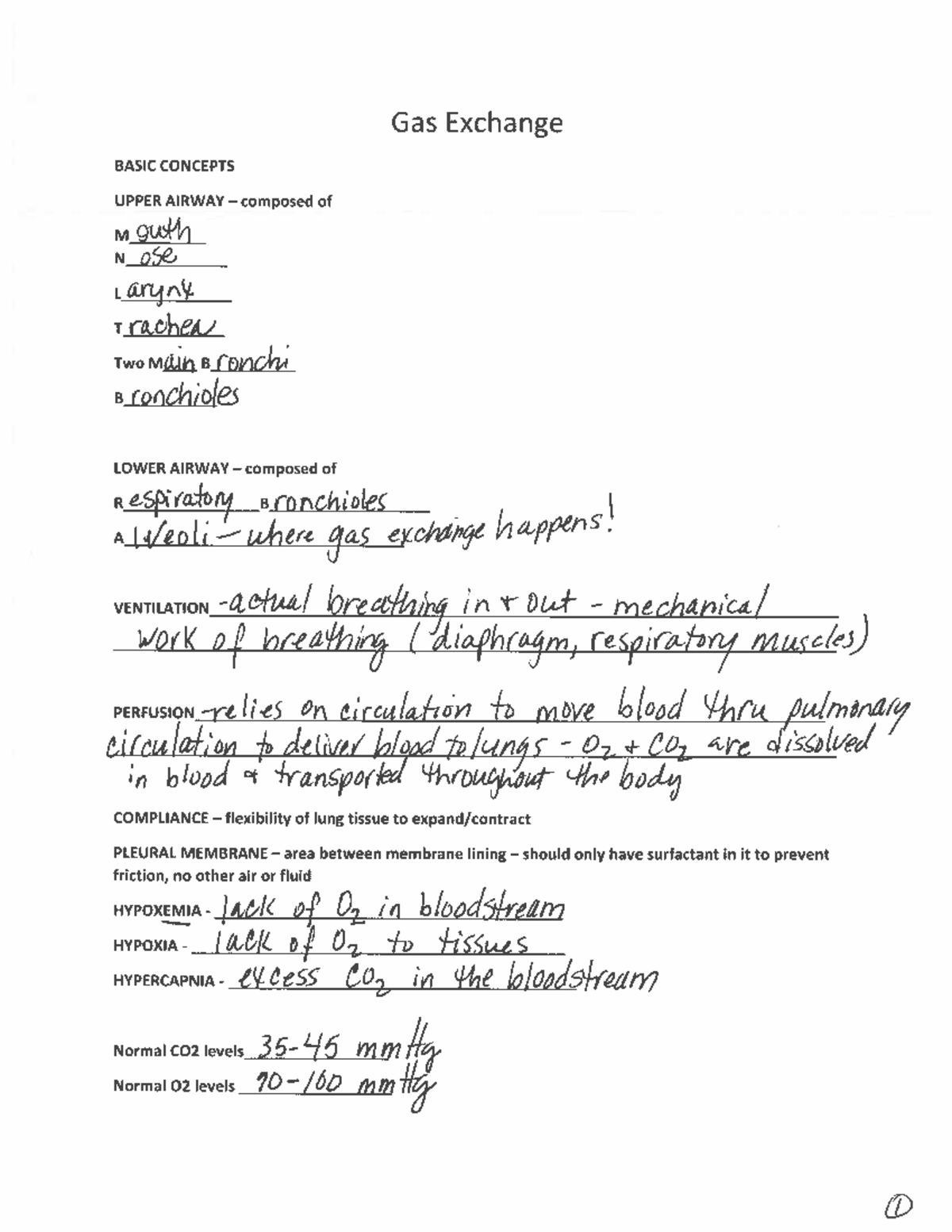 Gas Exchange Note Taking Guide Complete - Gas Exchange BASIC CONCEPTS ...
