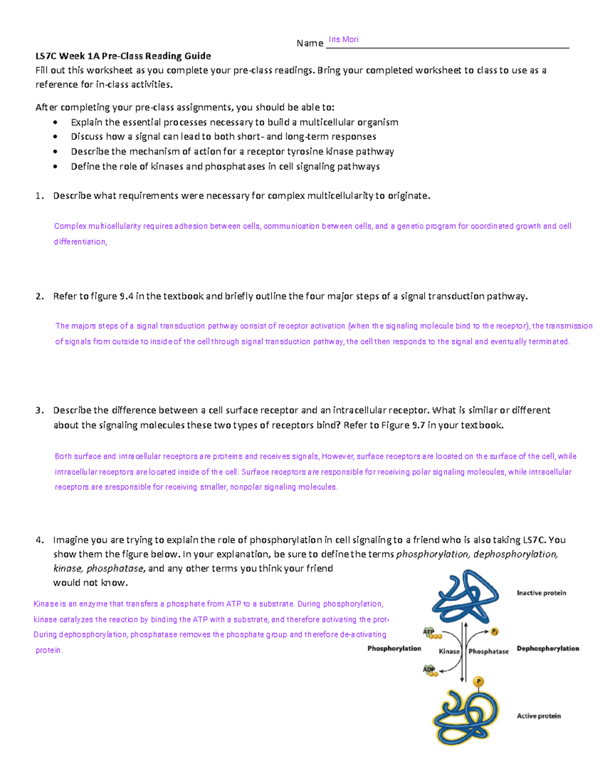 7c reading guide week 1 - Name ...