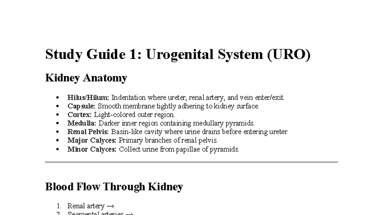 Urogenital and Sensory Systems Study Guide (URO 39633) - Studocu