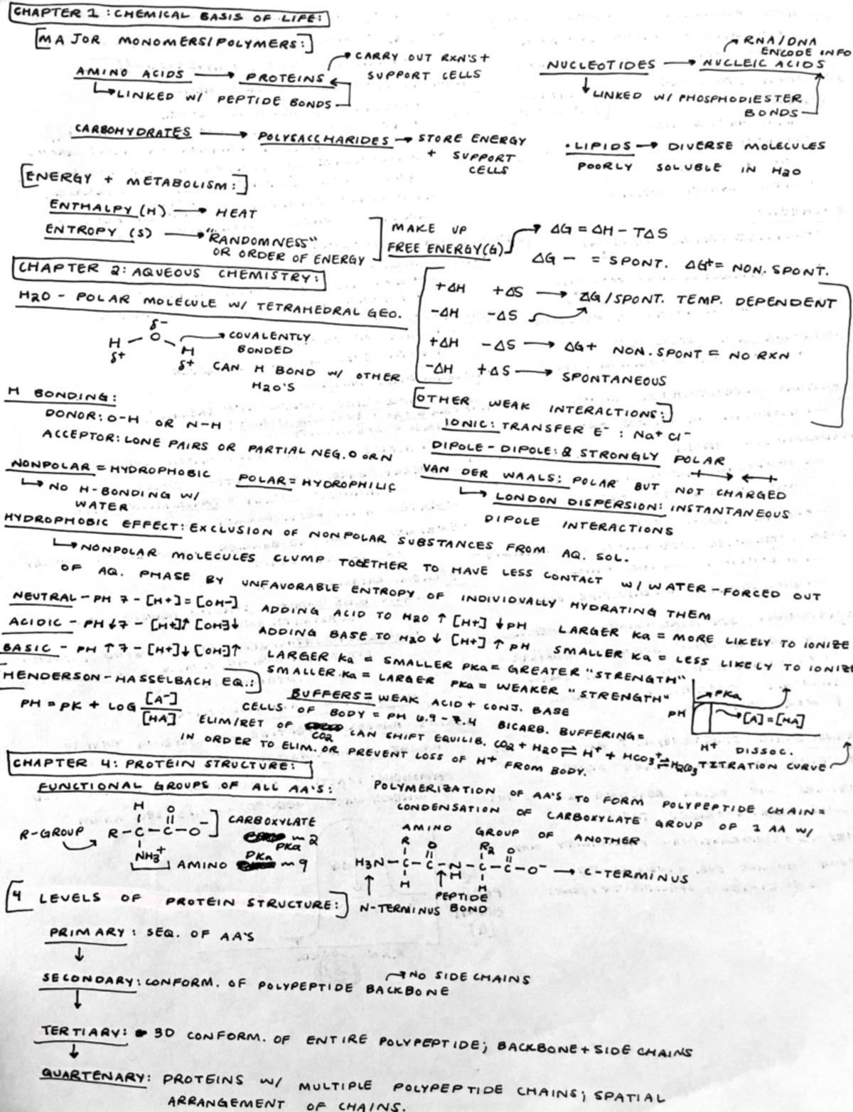 UNL BIOS 214 - Exam 1 Notes: Chemical Basis of Life & Protein Structure ...