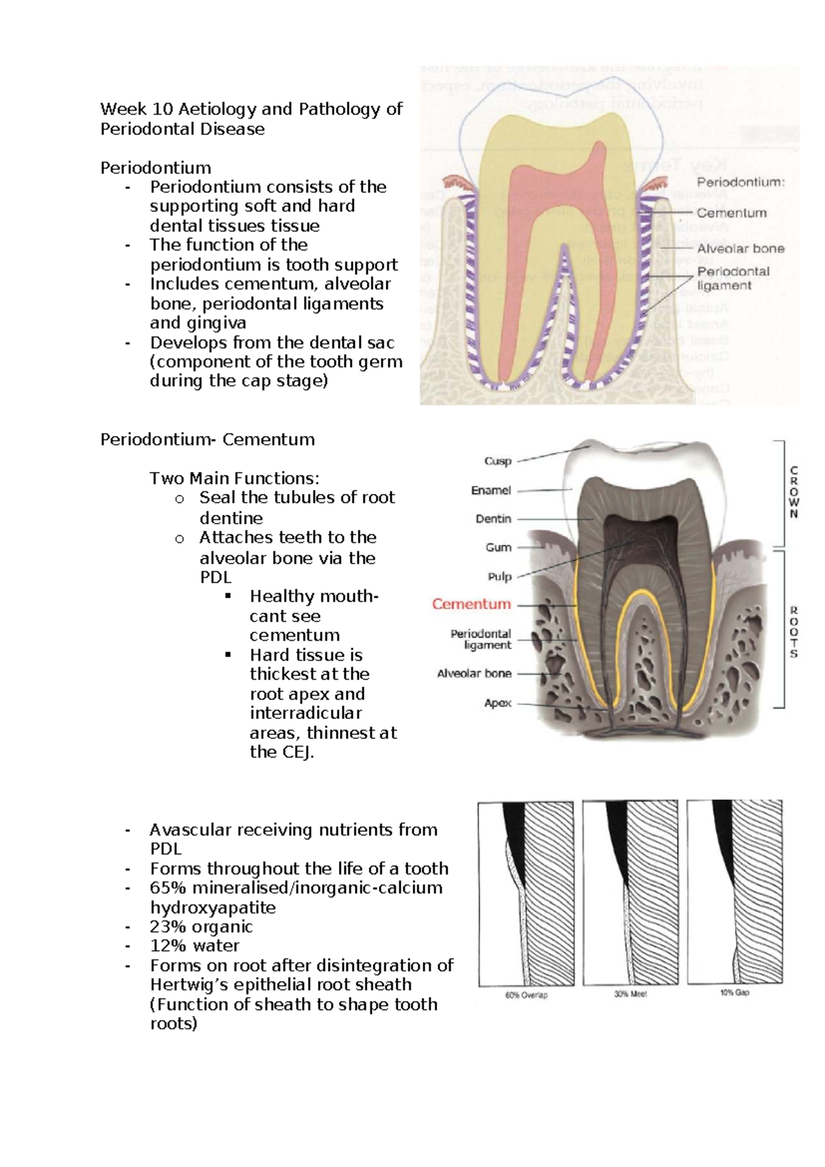 Week 10 Lecture Notes: Aetiology & Pathology of Periodontal Disease ...