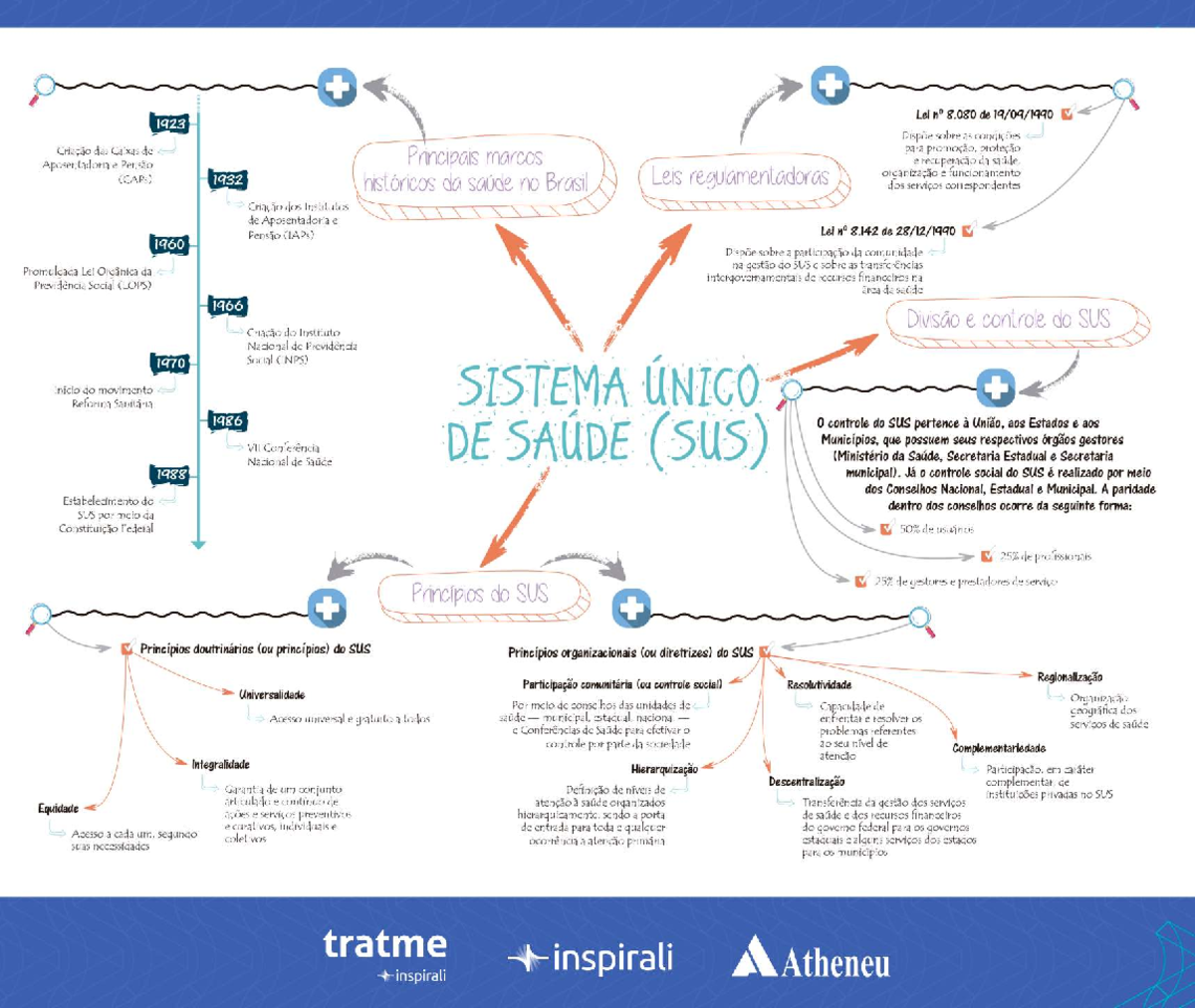 Sistema Único de Saúde (SUS): História e Princípios Fundamentais - Studocu