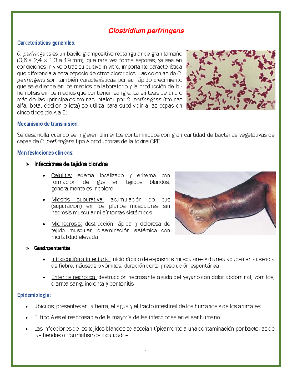 Resumen 3: Clostridium perfringens y C. tetani - Aspectos clave - Studocu
