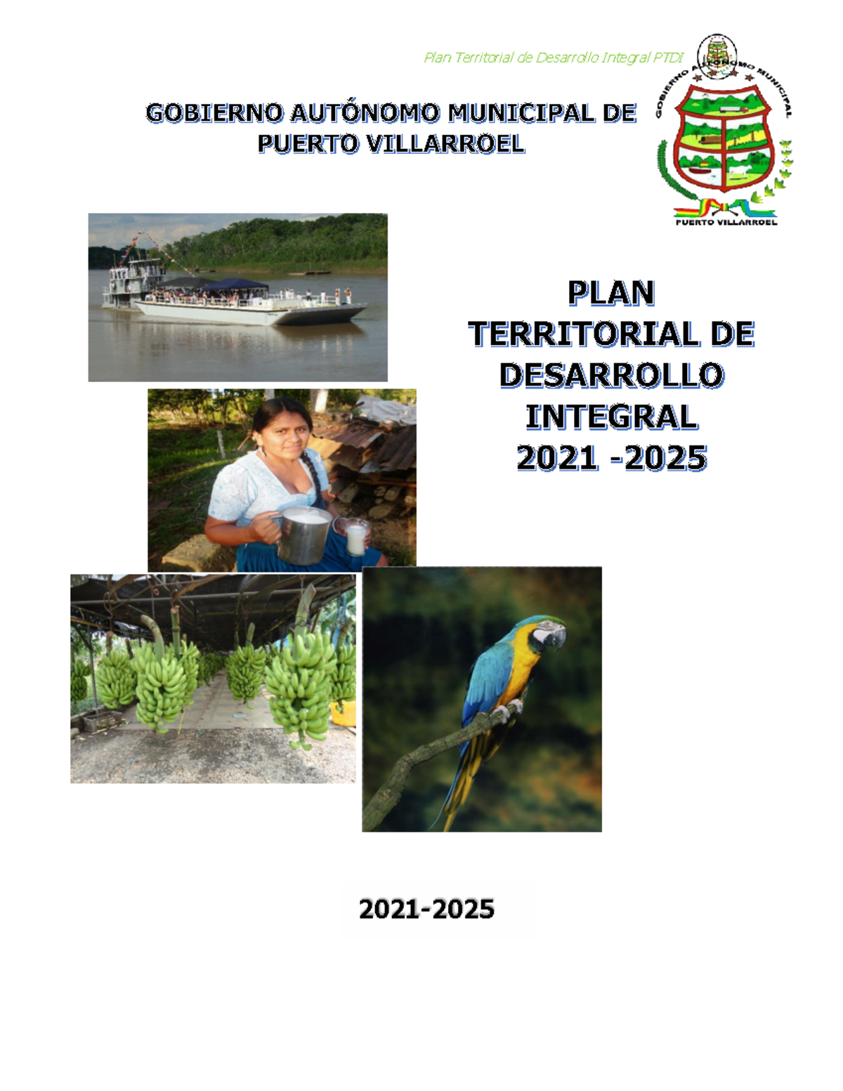 Plan Territorial de Desarrollo Integral (PTDI) 2021-2025: Análisis y Propuestas - Document Preview