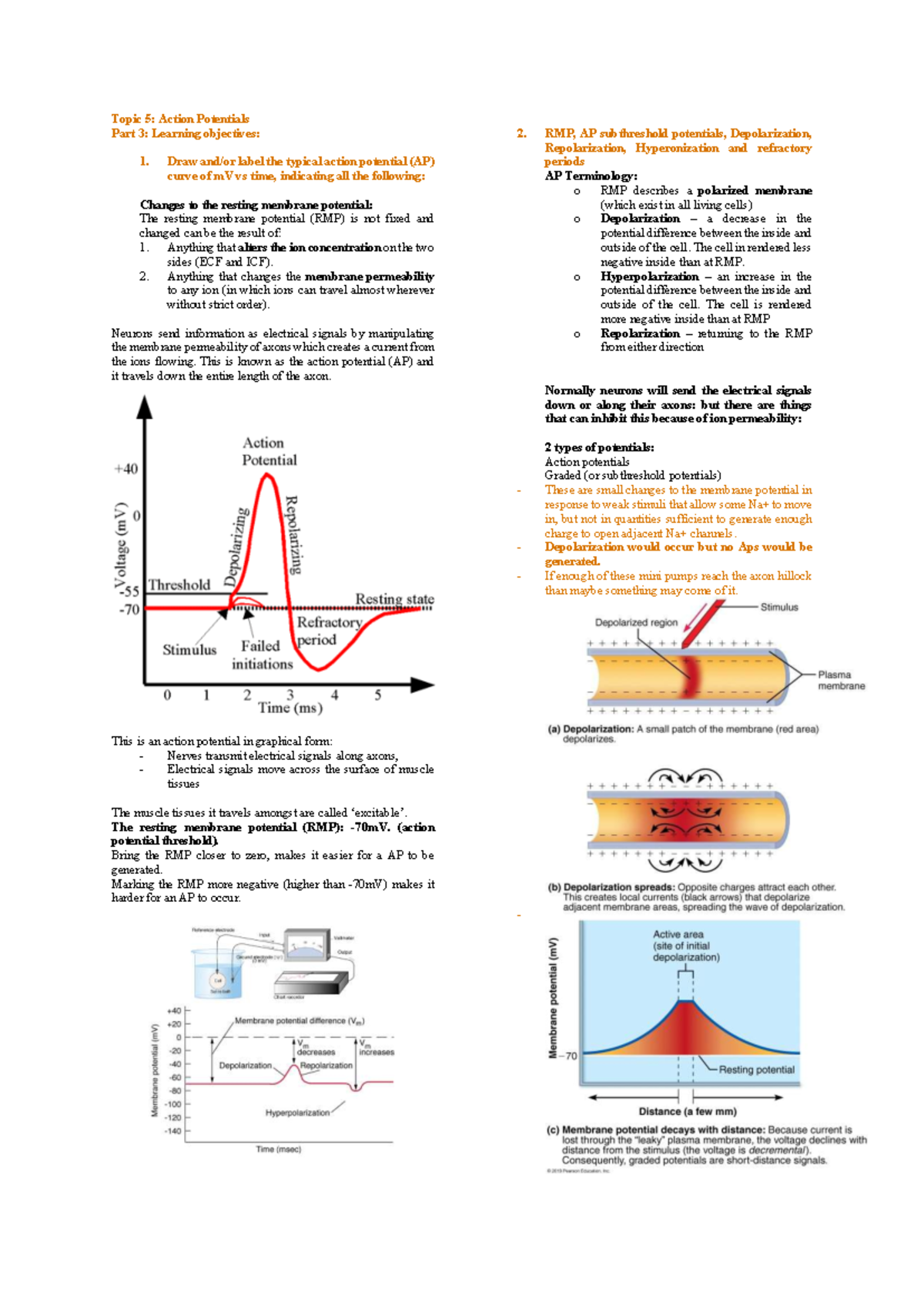 Quiz Prep. CTR T3: Understanding Action Potentials and Endocrine ...