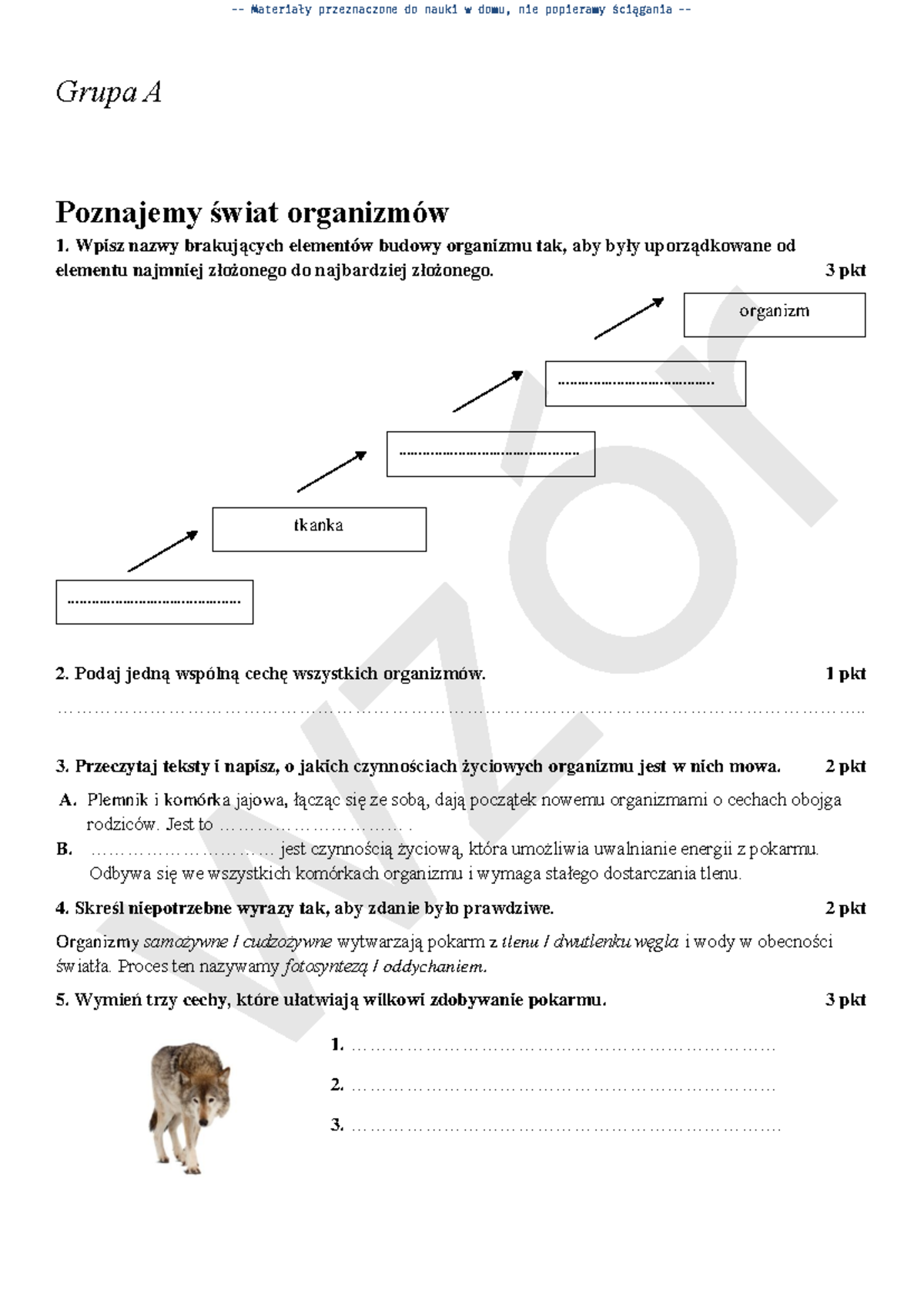 Mial Juz Ktos Sprawdzian Przyroda 6 Klasa Koncowych www.studocu.com