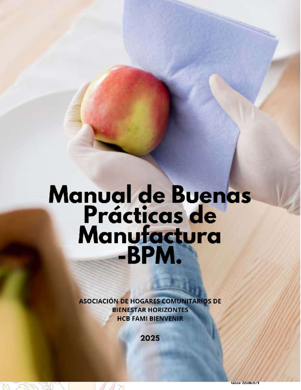 Manual de Buenas Prácticas de Manufactura - BPM FAMI 2025 ASO ...