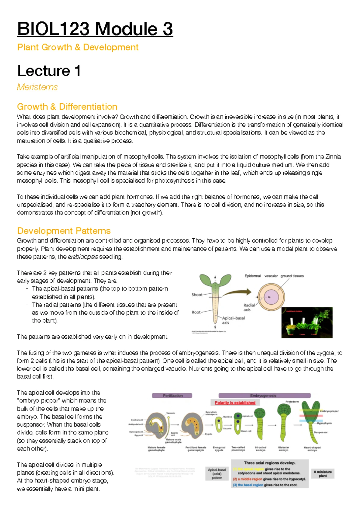 Non-Finalized Lecture Notes for Botany (Lecture 3) - Studocu