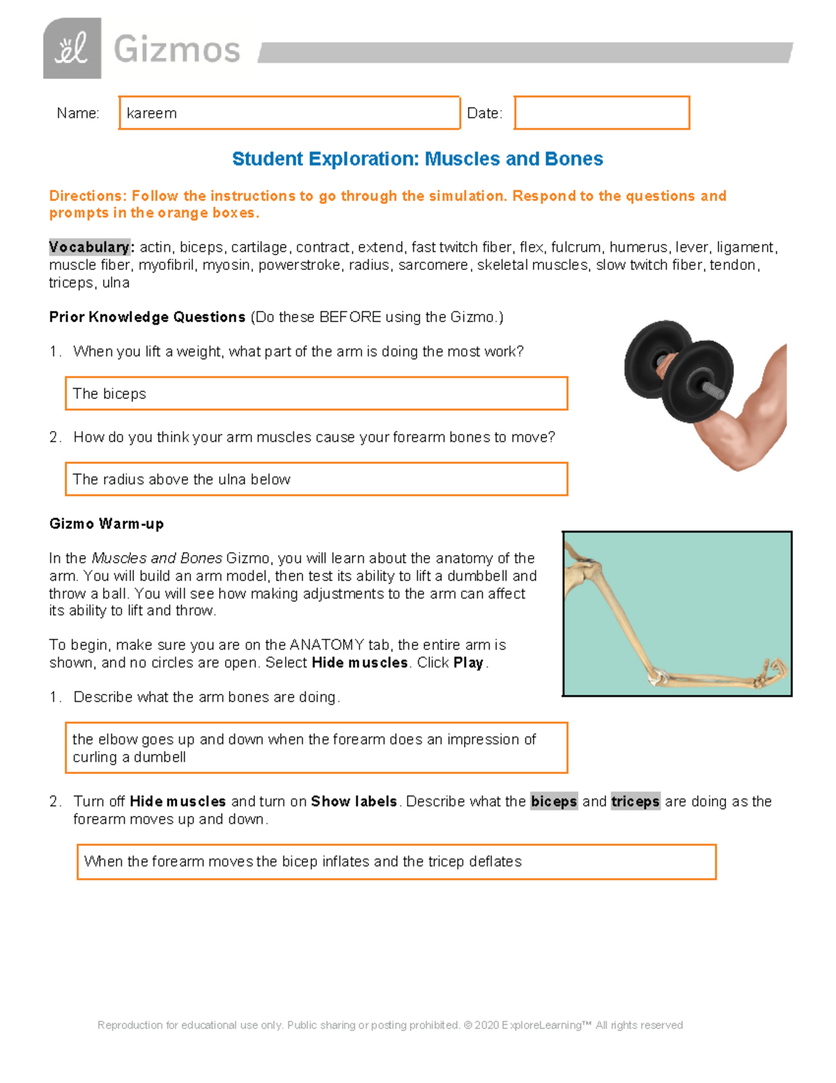 Kareem's Student Exploration: Muscles & Bones Simulation SE - Studocu
