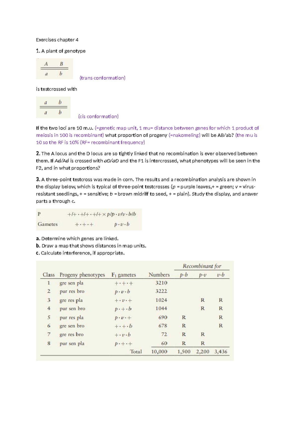 Genetics Exercises: Chapter 4 Review (Course Code: GEN101) - Studeersnel