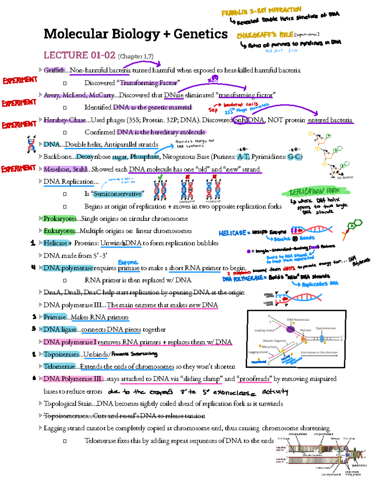 Molecular Biology & Genetics LECTURE NOTES (Chapters 1-9) Overview ...