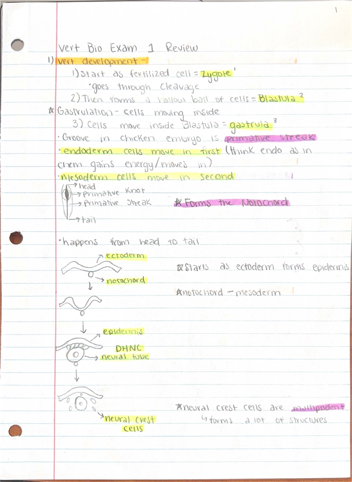 Midterm Study Guide for Course ABC 123: Key Concepts & Topics - Studocu