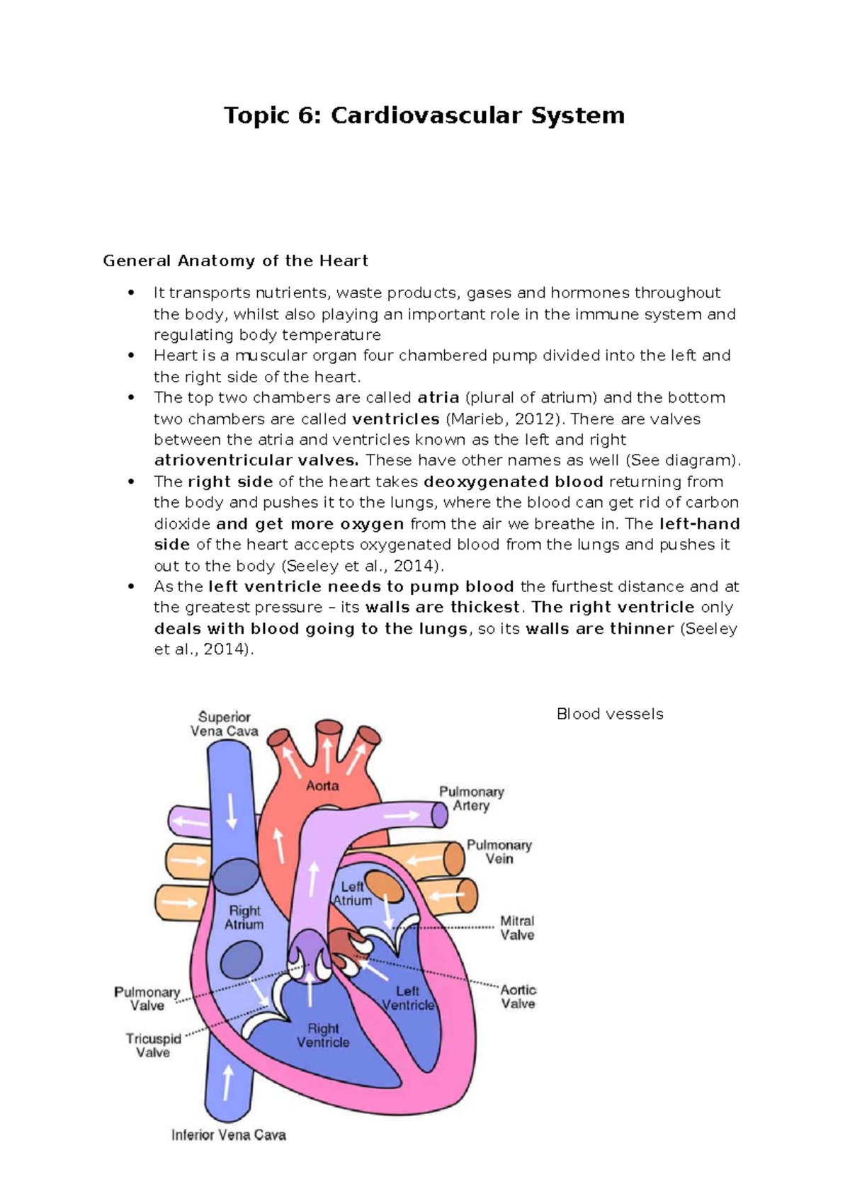 Health Sciences - Topic 6 & 8: Cardiovascular & Lymphatic Systems ...