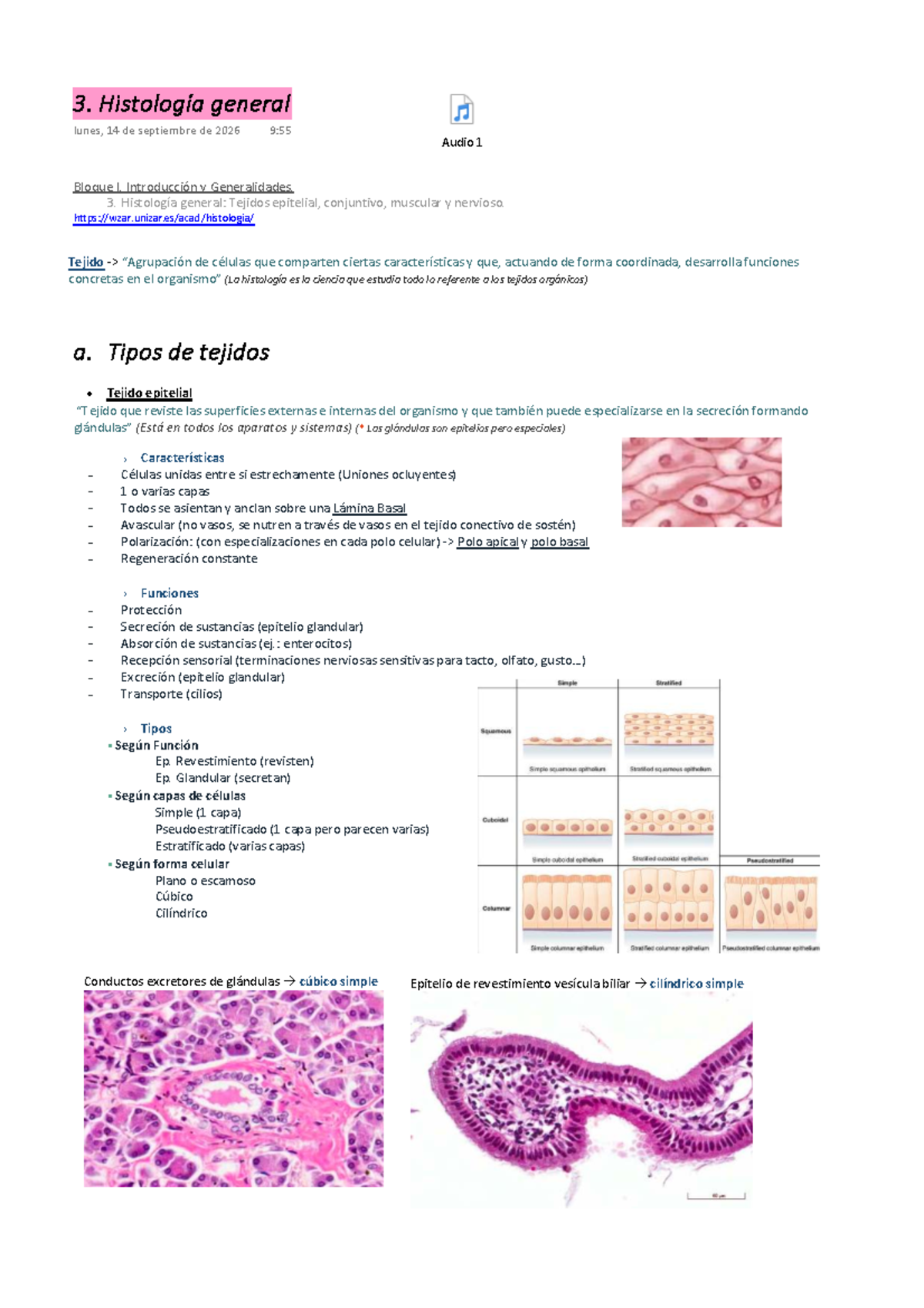 3. Histología General: Tejidos Epitelial, Conjuntivo, Muscular y ...