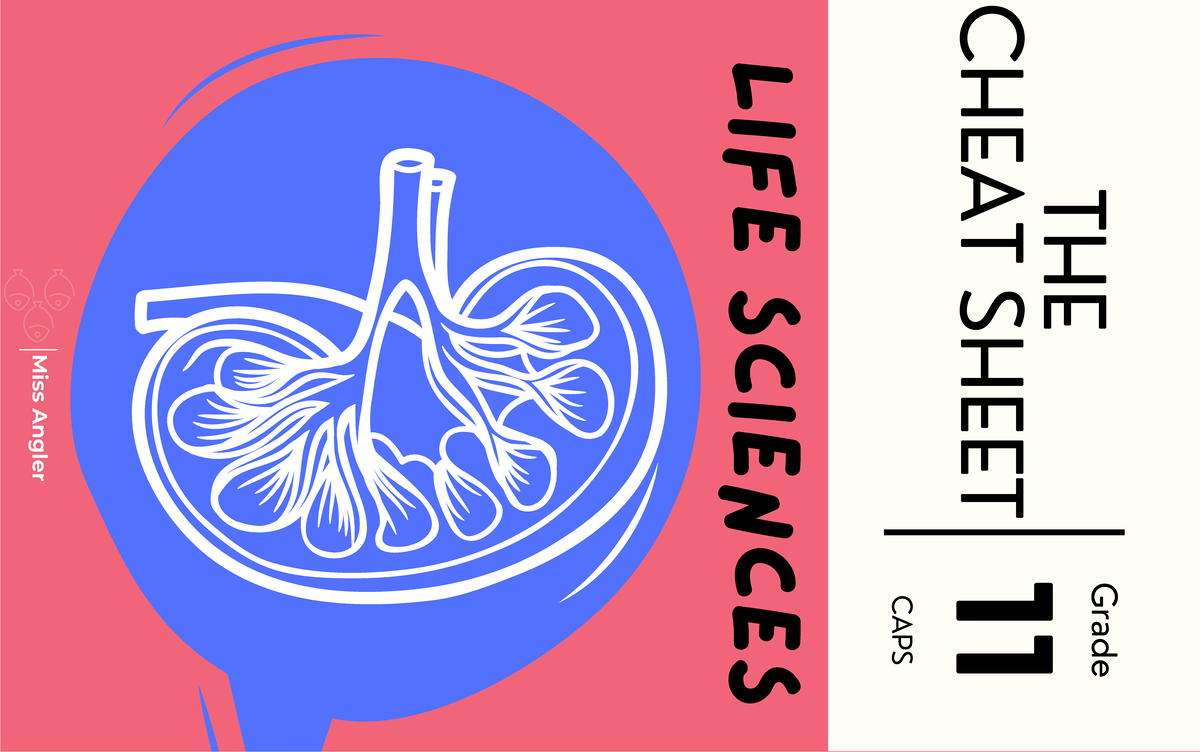 Grade 11 CAPS Life Sciences Cheat Sheet: 1st Edition 2022 - Studocu