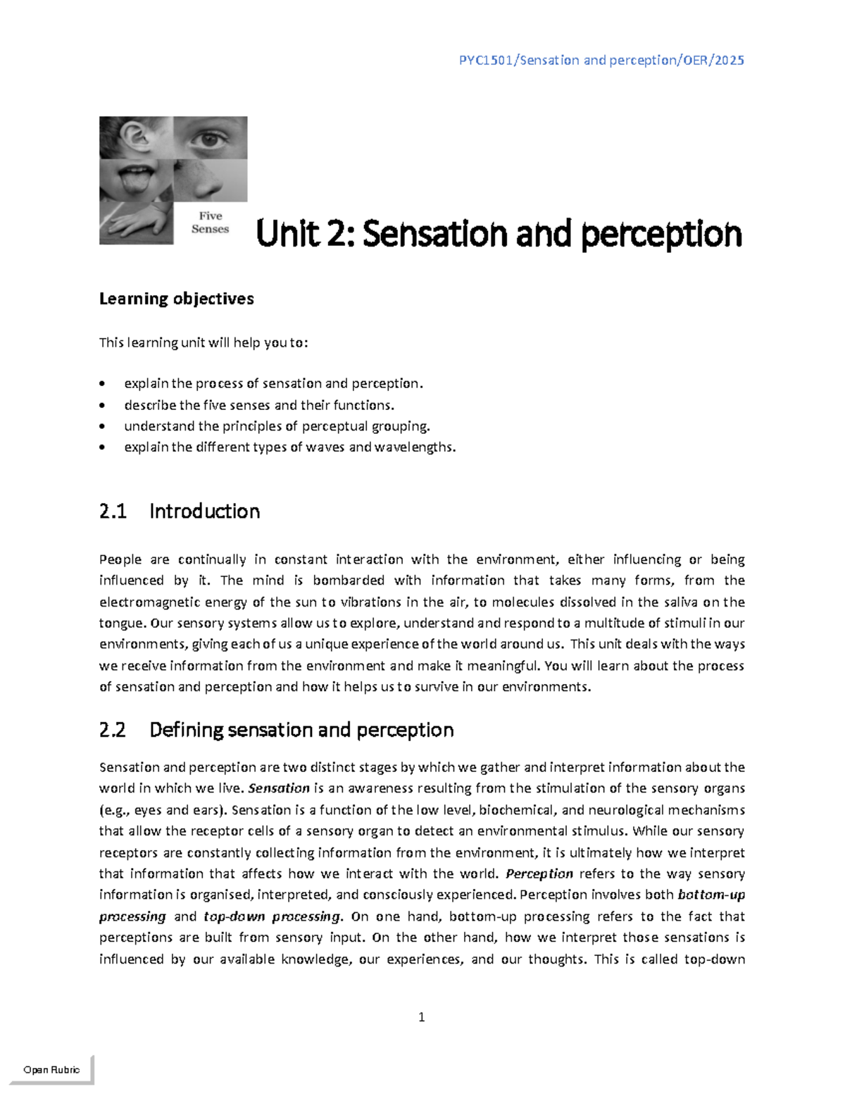 PYC1501 Unit 2: Understanding Sensation and Perception Concepts - Studocu