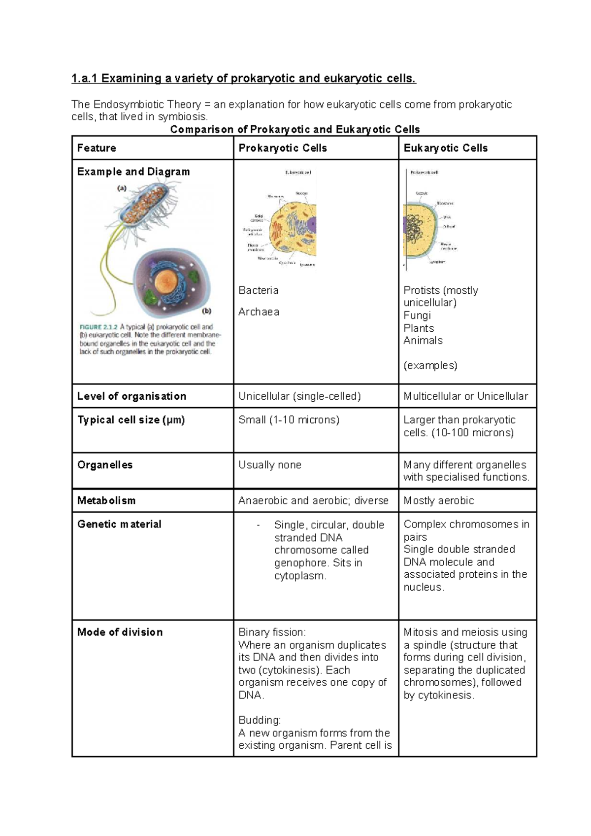 Comparison of Prokaryotic and Eukaryotic Cells: A Detailed Study - Studocu