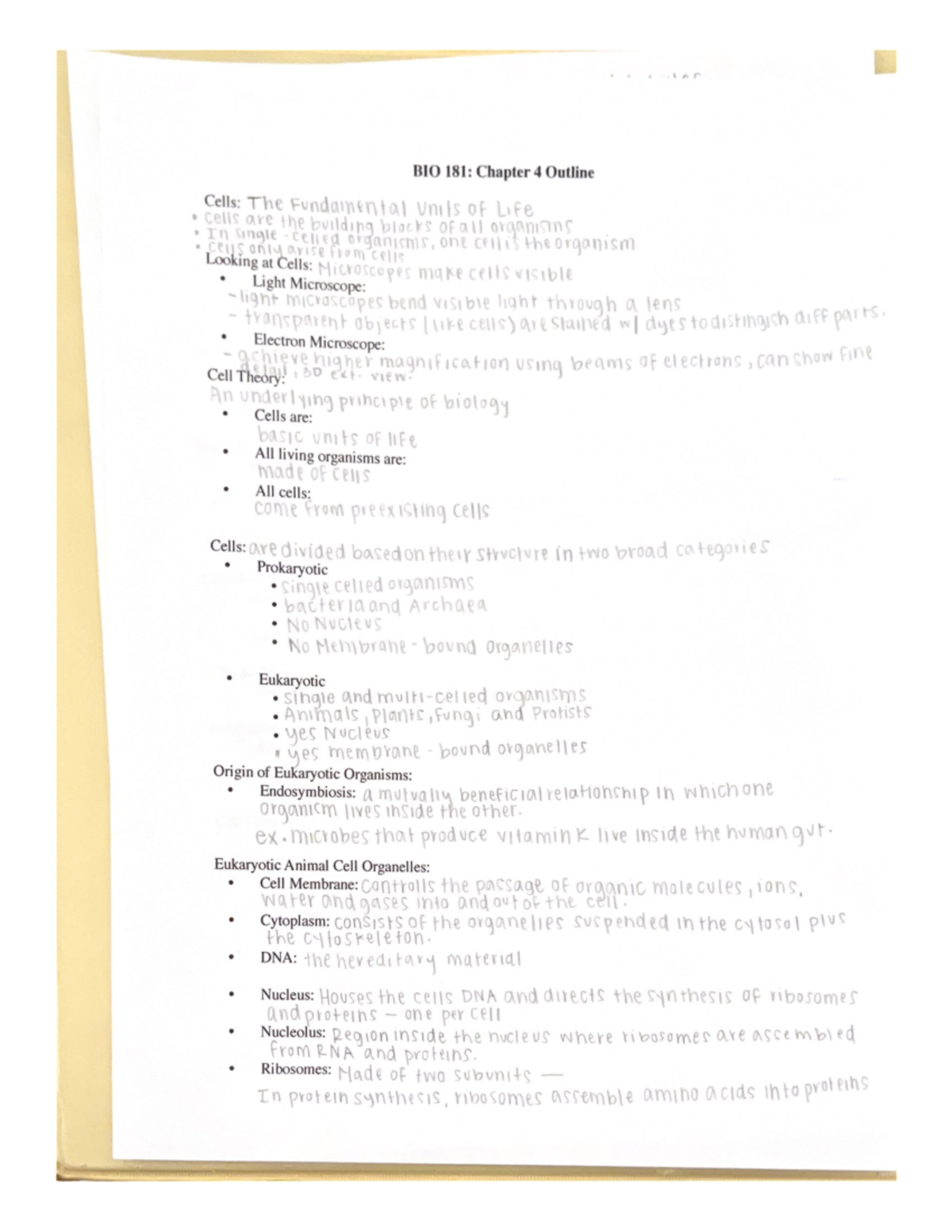 BIO 181 Chapter 4 Outline - BIO 181: Chapter 4 Outline Cells: The ...