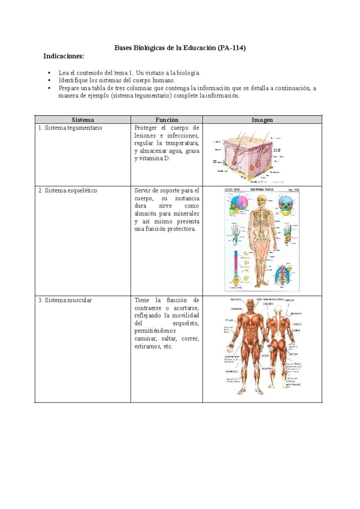 Sistemas del Cuerpo Humano: Bases Biológicas de la Educación - Studocu