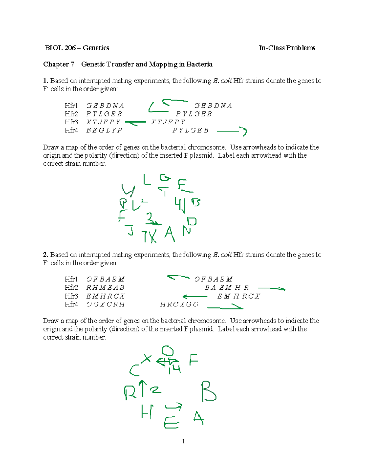 BIOL 206 Chapter 7 In-Class Problems on Genetic Transfer in Bacteria ...