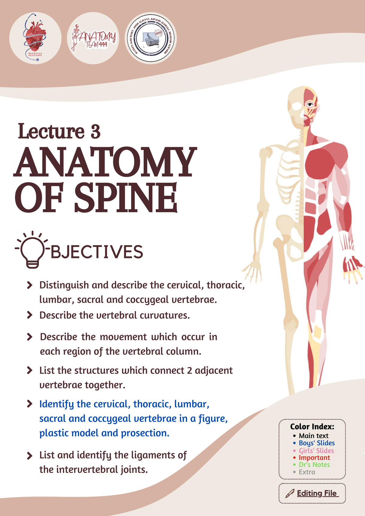 L03 - Lecture 3: Anatomy of the Spine and Vertebral Structures - Studocu