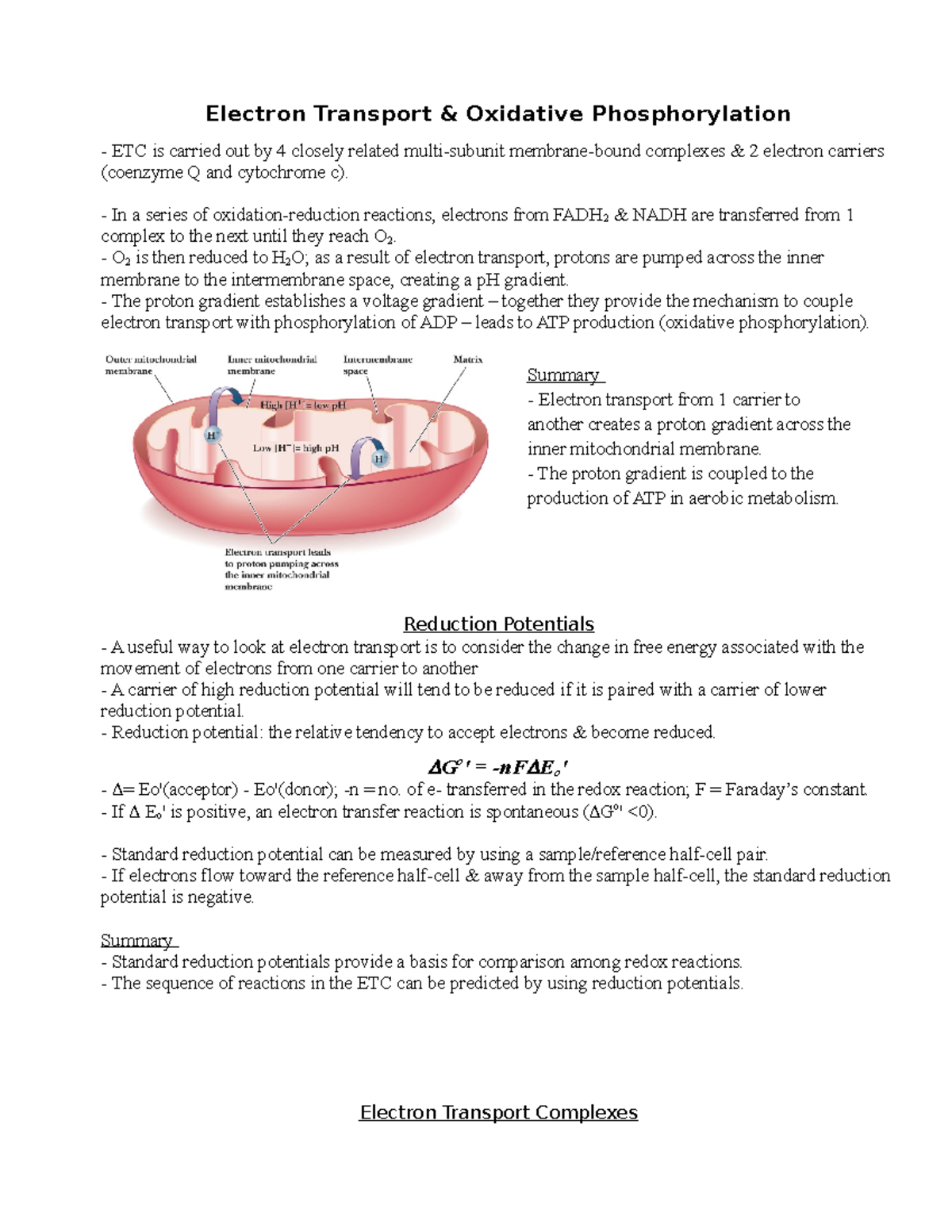 Chapter 20 - Electron Transport Chain & Oxidative Phosphorylation ...