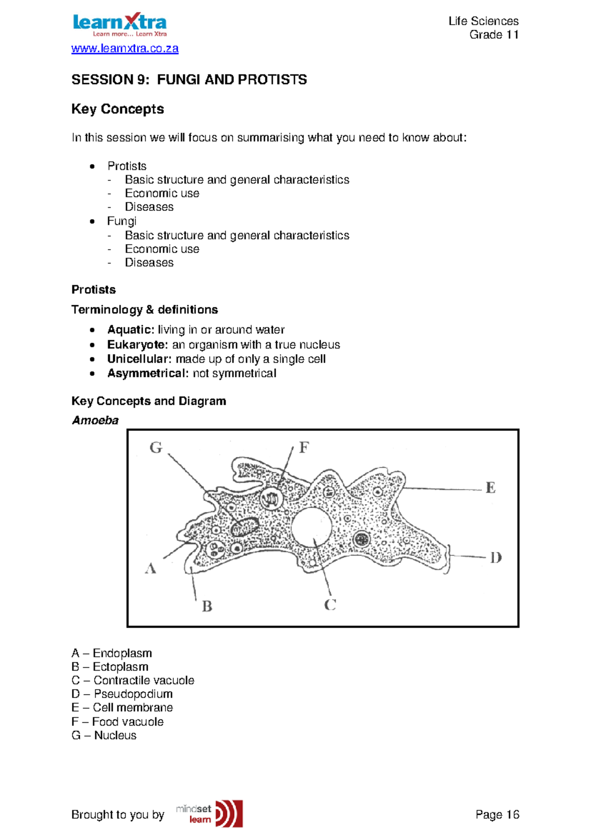 1695 fdoc - Life science practical - Grade 11 learnxtra.co SESSION 9 ...