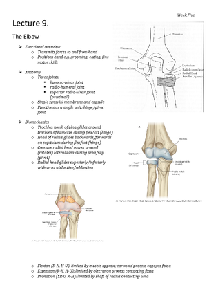 Week 1 Musculoskeletal Lecture: Identifying Red Flags in Pain ...